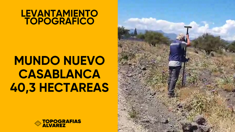 LEV MUNDO NUEVO